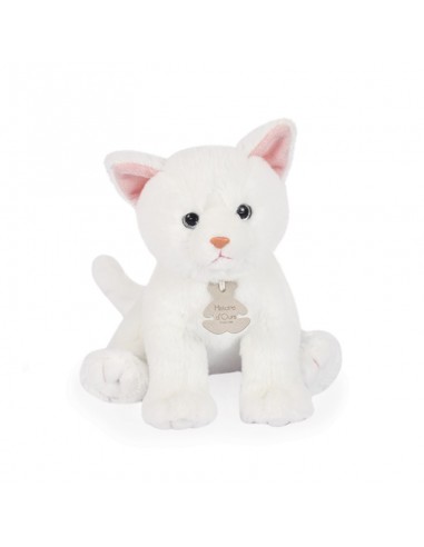bebe gato blanco histoire dours 2803155