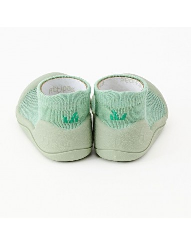 zapato tortoise attipas