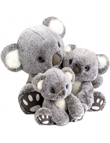 KOALA PEQUEÑO HISTOIRE D'HOURS
