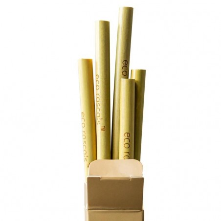 PAJITAS DE BAMBOO ECO 5 UNID. RASCALS